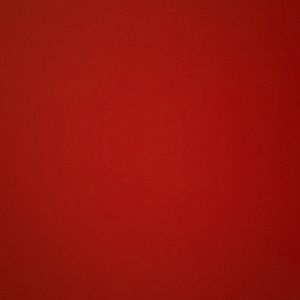 Meet your Posher, Victor